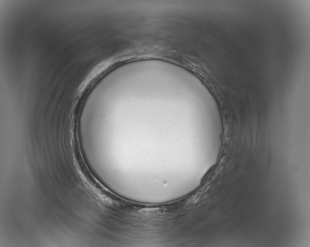 X0000080170054200701051642
