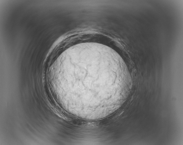 X0000080170056200701051642