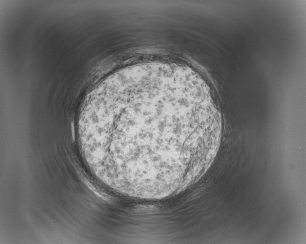 X0000080170061200701051642