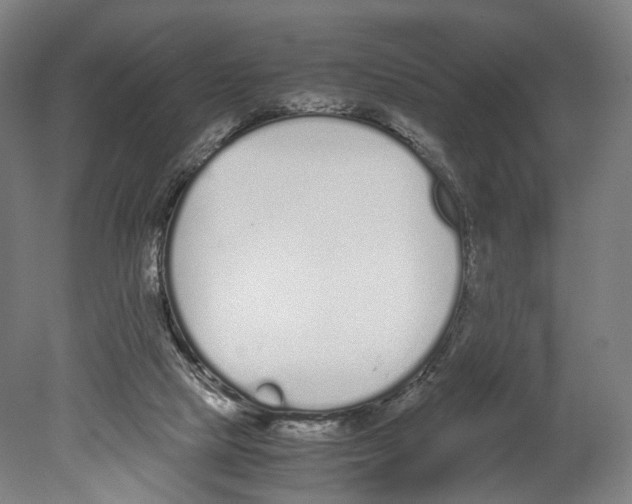 X0000080170065200701051642
