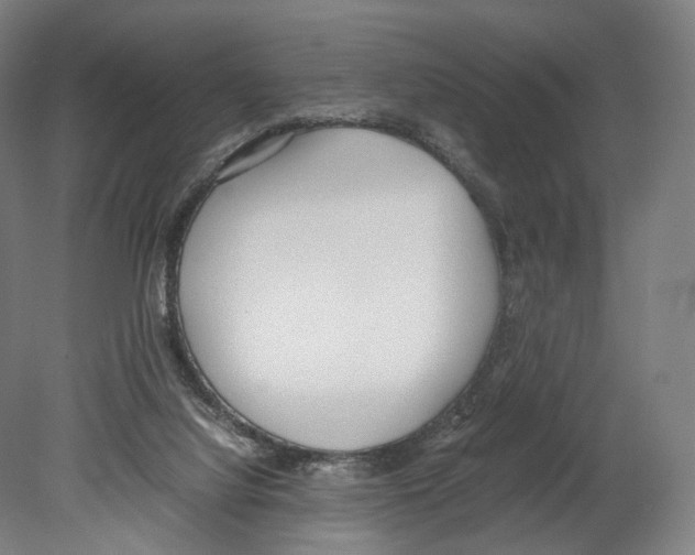 X0000080170068200701051642