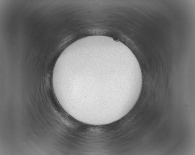 X0000080170071200701051642