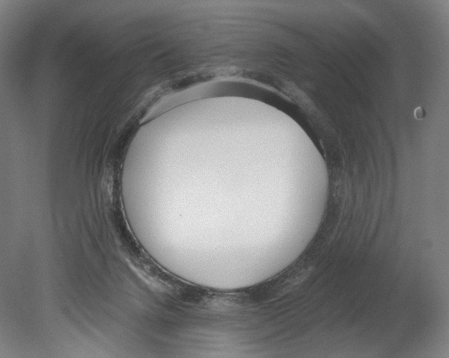 X0000080170072200701051642