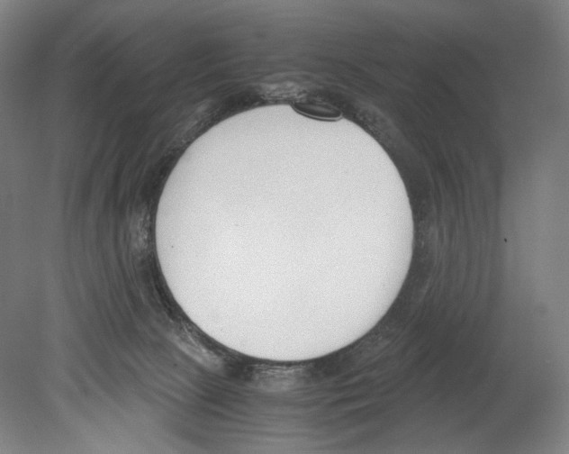X0000080170081200701051642