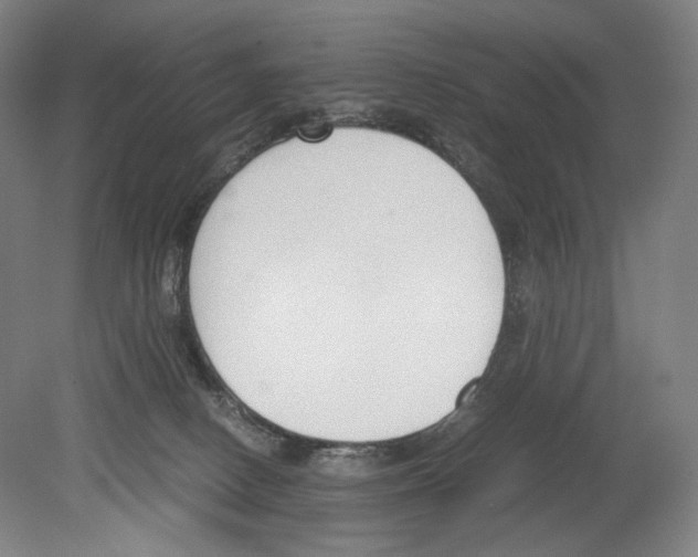 X0000080170082200701051642
