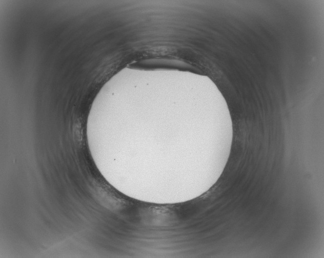 X0000080170086200701051642