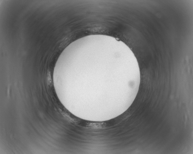 X0000080170089200701051642
