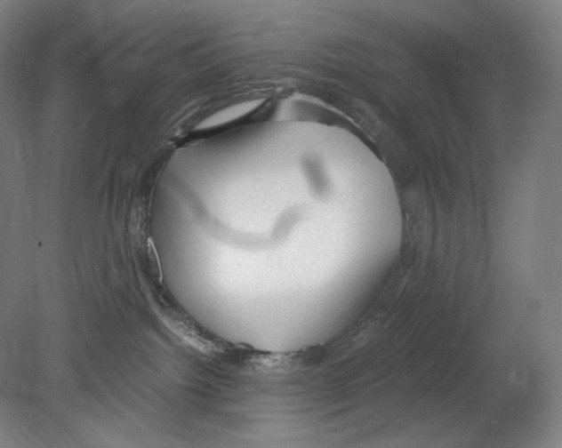 X0000080170092200701051642