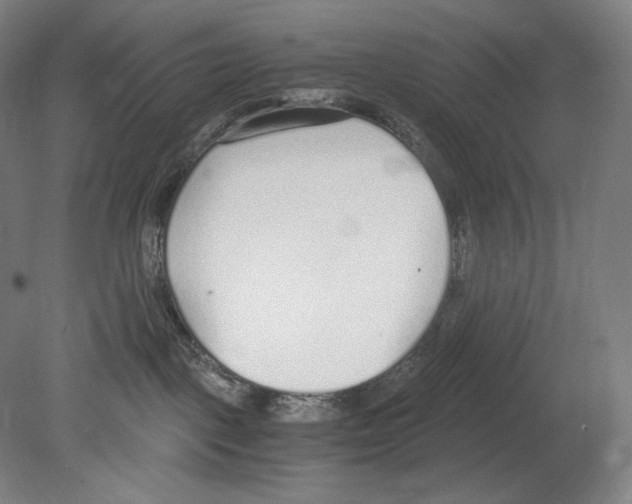 X0000080170093200701051642