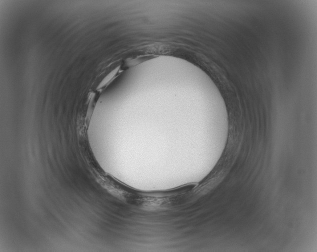 X0000080170096200701051642