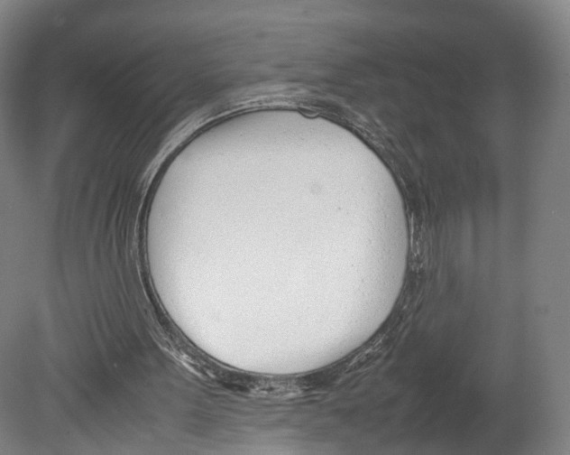 X0000080170099200701051641