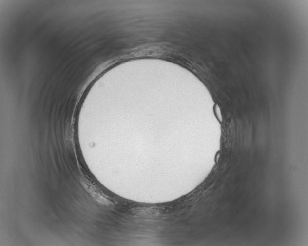 X0000080170100200701051641