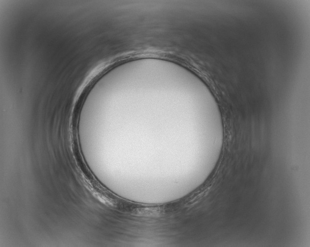 X0000080170102200701051641