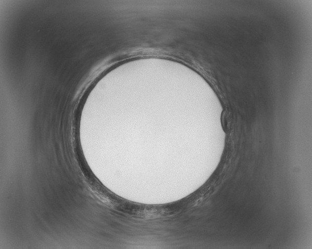 X0000080170103200701051641