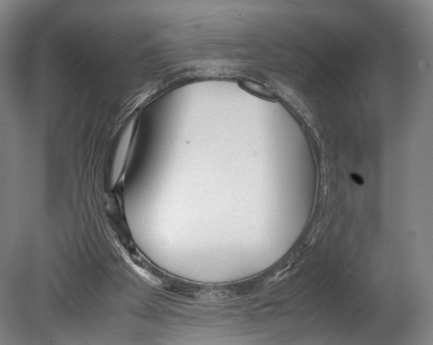 X0000080170105200701051641