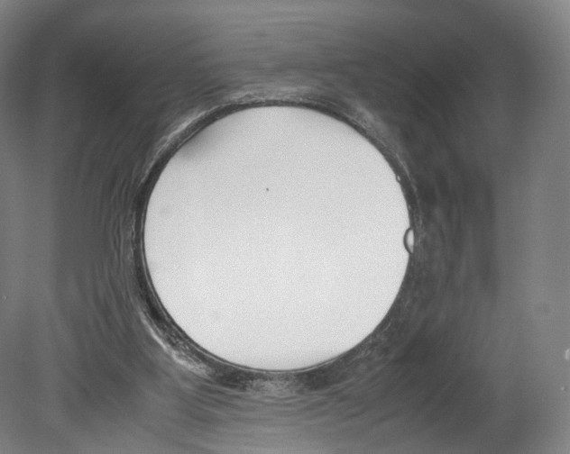 X0000080170107200701051641