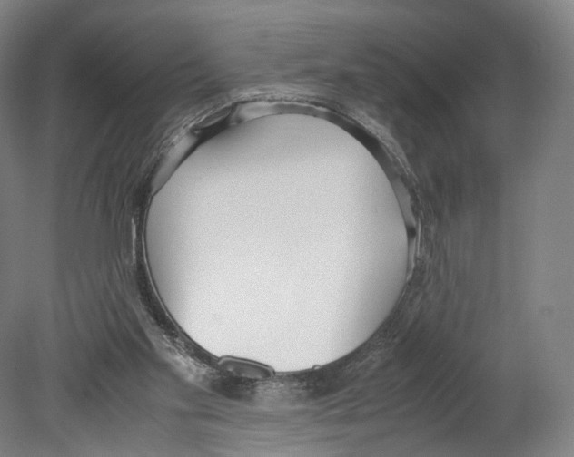 X0000080170109200701051641