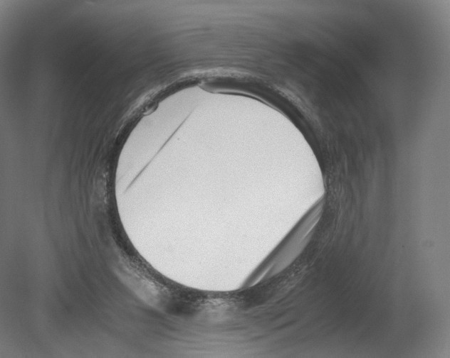 X0000080170111200701051641