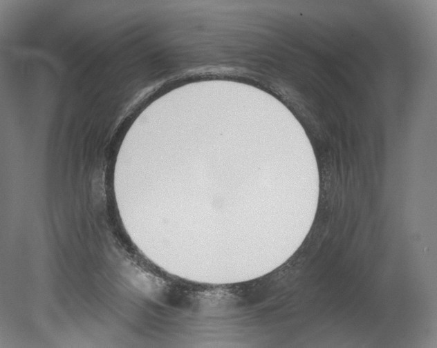 X0000080170112200701051641