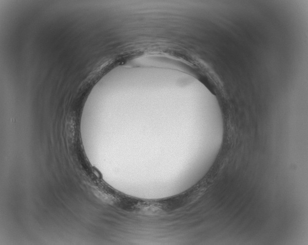 X0000080170113200701051641