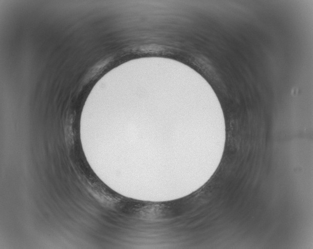 X0000080170116200701051641