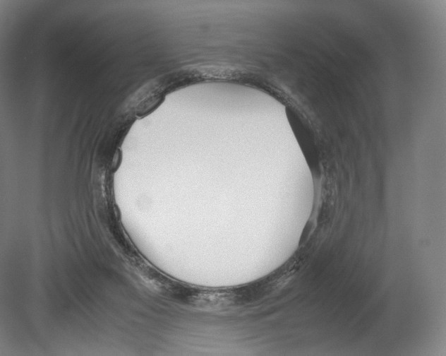 X0000080170117200701051641
