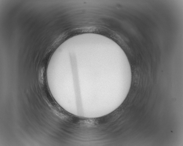X0000080170118200701051641