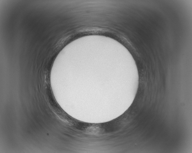 X0000080170119200701051641
