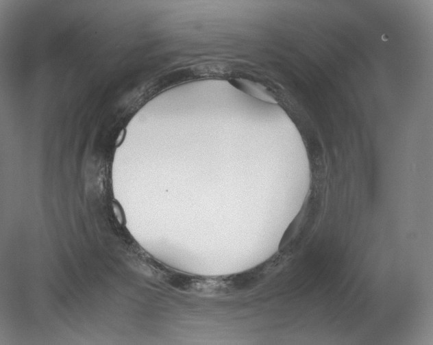 X0000080170125200701051641