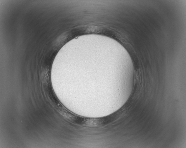 X0000080170127200701051641