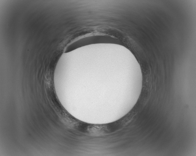 X0000080170129200701051641