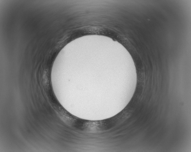 X0000080170131200701051641