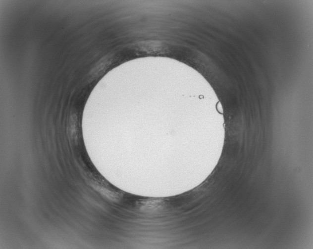 X0000080170132200701051641