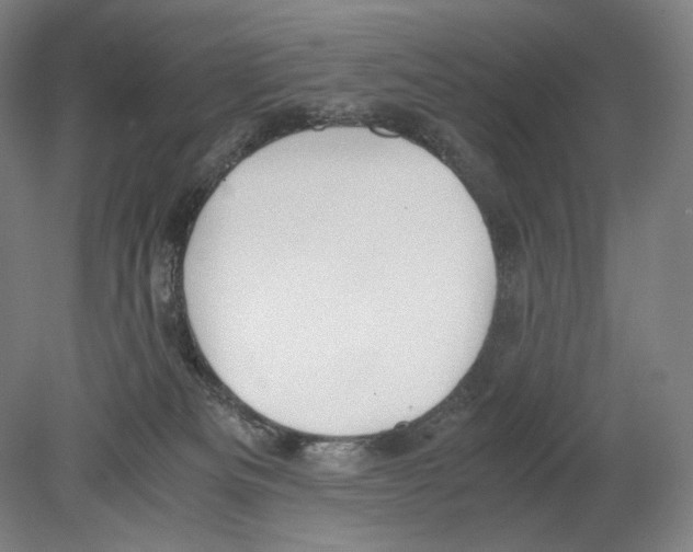 X0000080170133200701051641