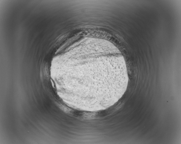 X0000080170143200701051641