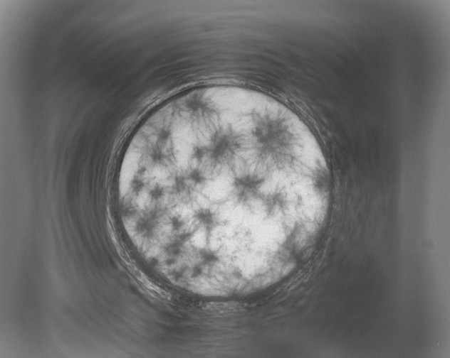 X0000080170145200701051640