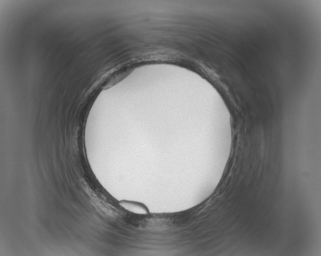X0000080170154200701051640