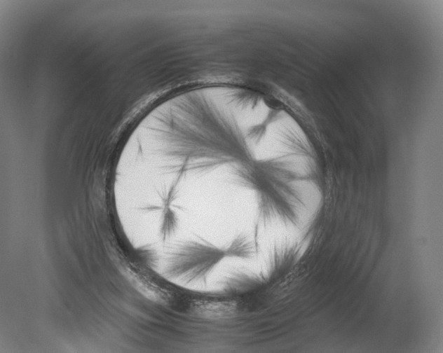 X0000080170155200701051640