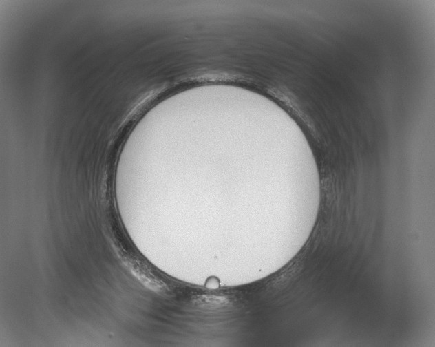 X0000080170159200701051640