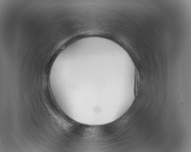 X0000080170164200701051640