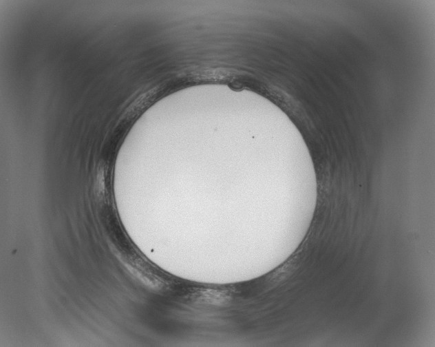 X0000080170166200701051640