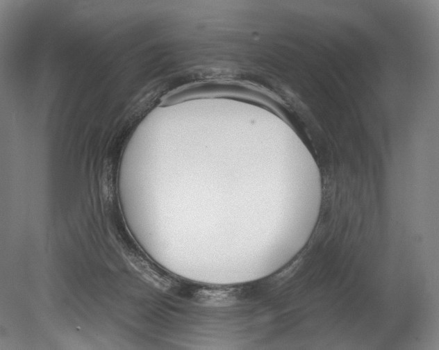X0000080170170200701051640