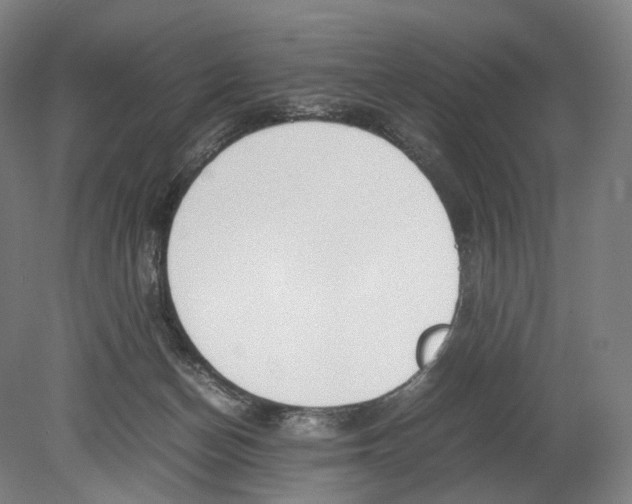 X0000080170174200701051640