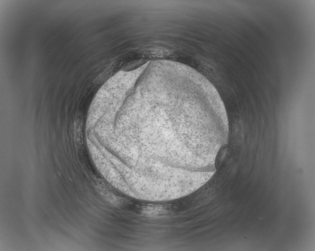 X0000080170177200701051640