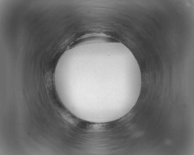 X0000080170184200701051641