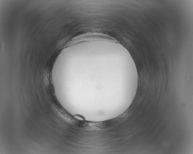 X0000080170188200701051641