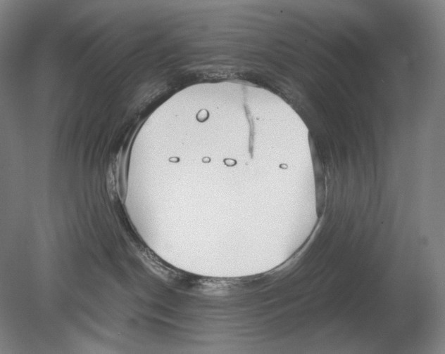 X0000080170190200701051641