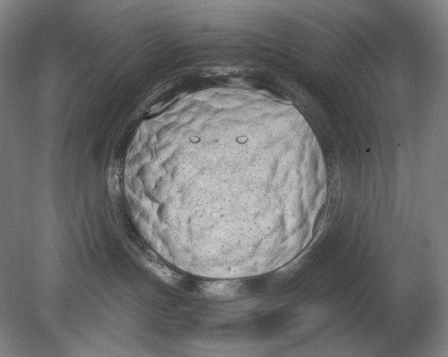 X0000080170191200701051641