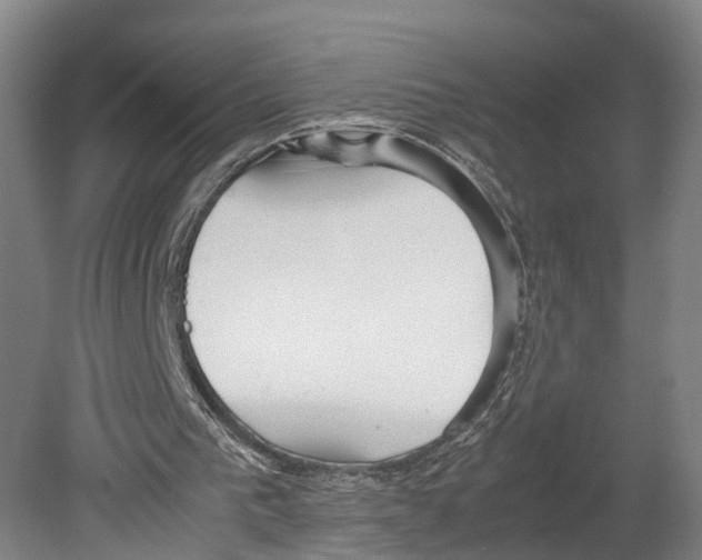 X0000080170193200701051640