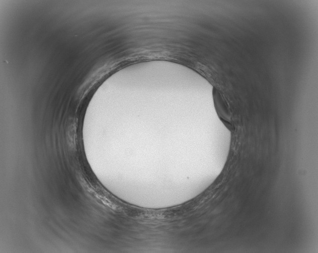 X0000080170194200701051640